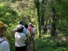 Identifying Invasive Species