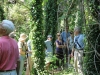 Identifying Invasive Species