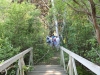 Existing Bridge Over Wetland