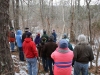 Overlooking the Atlantic White Cedar swamp