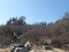Clearing a path for the pole