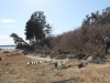 View of work area