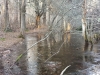 Hosea's Swamp