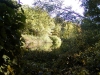 reubens-pond-2