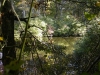 reubens-pond
