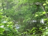 17Reflections-onf-Reubens-Pond