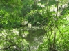 18Sunshine-on-Reubens-Pond