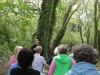 Beginning of trail walk