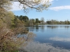 Ice House Pond