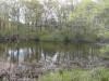 Reuben\'s Pond