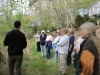 Talking about water willow