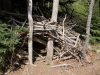 Kids being creative with broken black locus branches