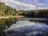 meadow-bog-pond-2