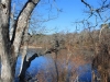 view-along-the-trail