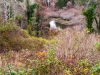 mill-pond-valley
