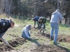 Turning over the Terrapin turtle nest sites