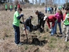 Working with the Riverview school to plant native shrubs on the George White gift