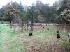 Laying out native shrubs to be planted at Ted Mauch Gift