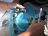 Nest eggs