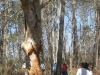 7Nature-at-Work