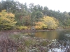 edge-of-twinings-pond
