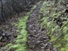 existing-trail