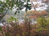 fall-photo-at-twinings