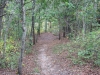 trail