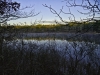 twinings-pond-3