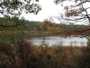 twinings-pond-overlook-2