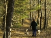 twinings-pond-trail-2