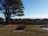 Pochet Island Meadow