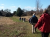 Walking the Meadows