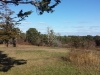 Pochet Island Meadow