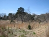 field