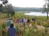 group-gatheringto-release-turtles