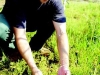 kris-ramsay-land-manager-releasing-terrapin-turtle