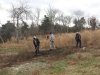 Turning over turtle gardens