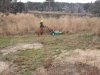 Mowing
