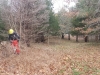 Removing black locus