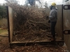 Filling up the brush box with invasive vegetation