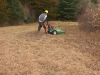 Mowing back field habitat