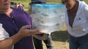 1Ready for the Terrapin Release