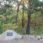 A memorial plaque on a large rock, part of a rock wall on the edge of the woods