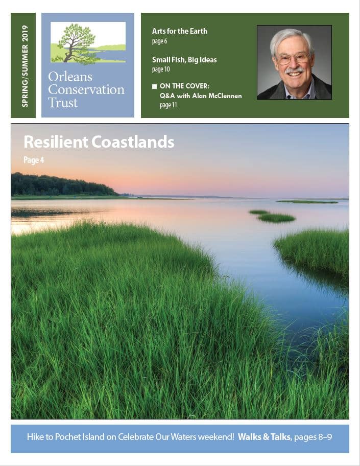 Cover of Spring Summer 2019 newsletter