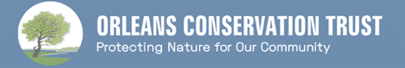 OCT-landscape-logo-01
