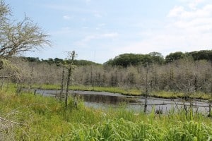 Slough nearly drained