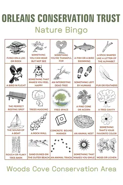 Nature Bingo activity sheet for Woods Cove Conservation Area