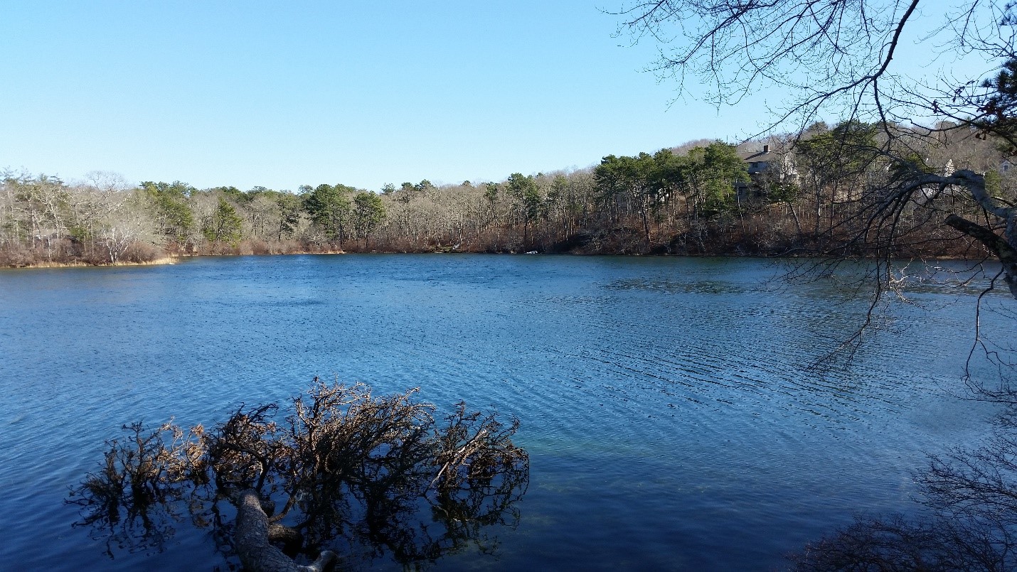 bakers pond