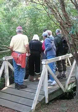 People standing on a wooden bridge in a wooded area